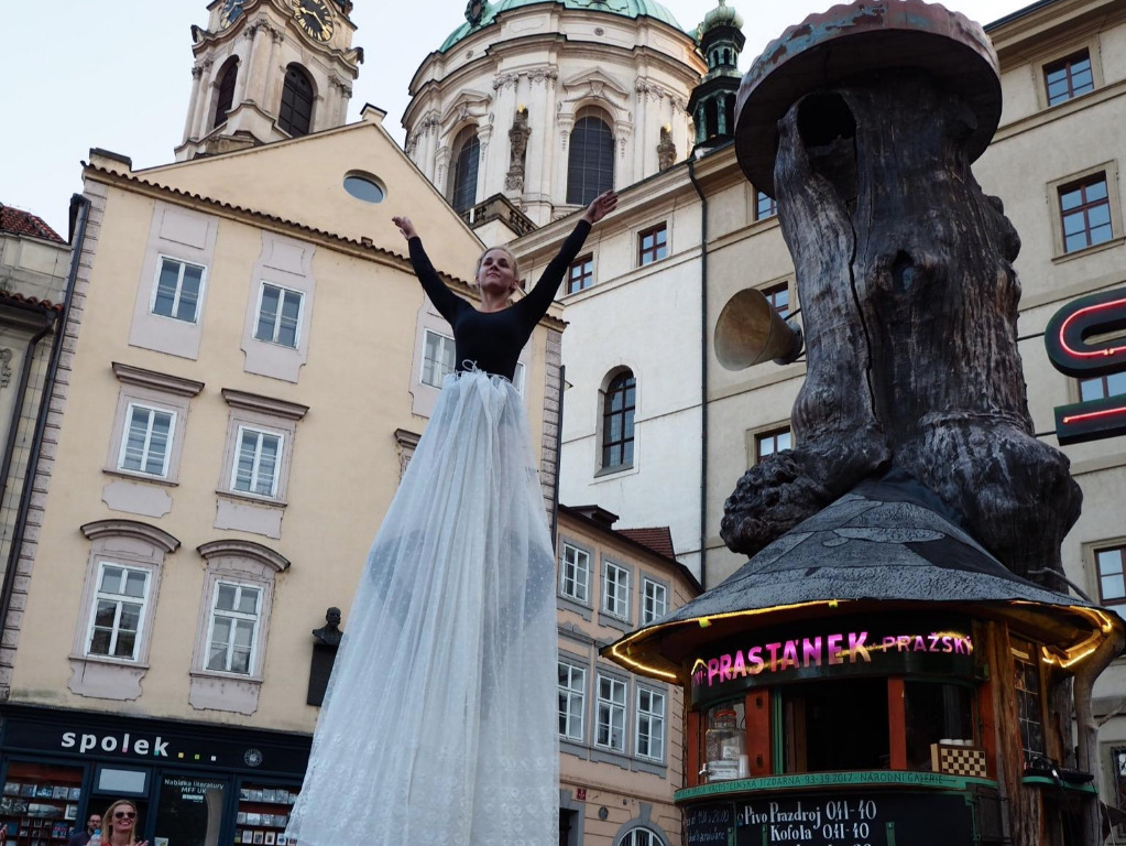 Photography 1 of project The “Tree-kiosk” in Malá Strana