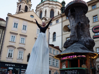 Main photography of project The “Tree-kiosk” in Malá Strana